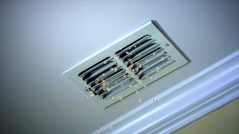 Emergency Air Duct Cleaning in AZ