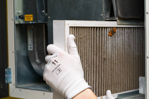 Best Affordable Duct Cleaning Services  in Mesa Del Caballo, AZ