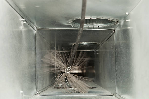 Best Affordable Air Duct Cleaning  in Mesa Del Caballo, AZ