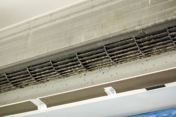 Best Duct Cleaning for Homes  in Mesa Del Caballo, AZ
