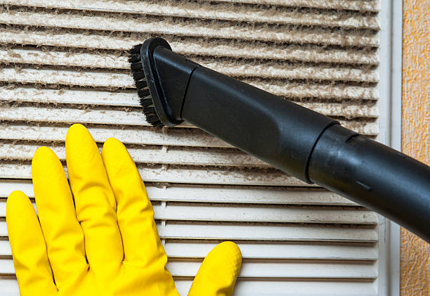 Best Local Air Duct Cleaning Services  in Mesa Del Caballo, AZ